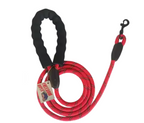 Kinetic Energy Reflective Dog Leash